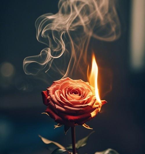 生气时应该送哪种颜色的玫瑰花？
